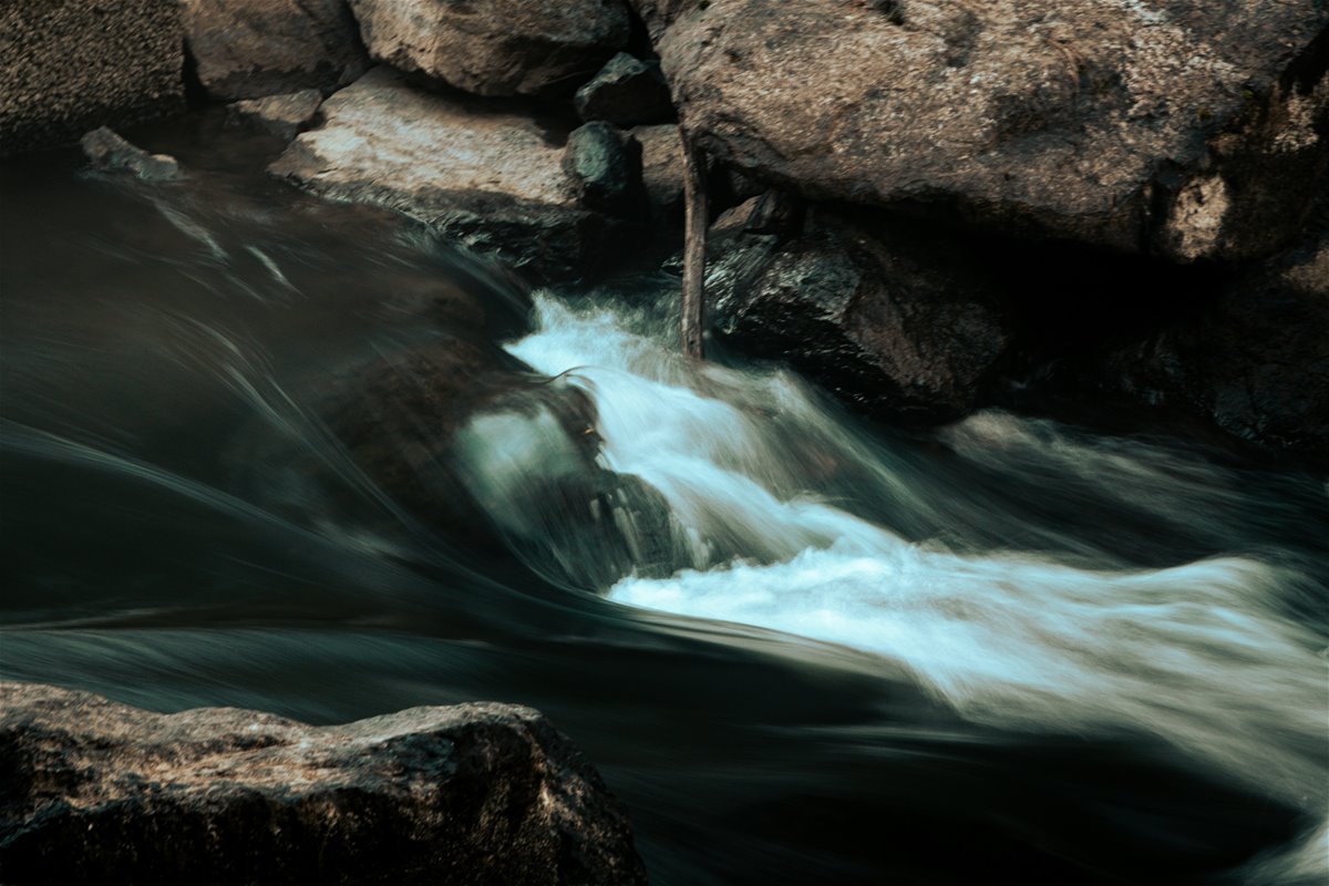 daniel-morton-yy2lcfskeb0-unsplash