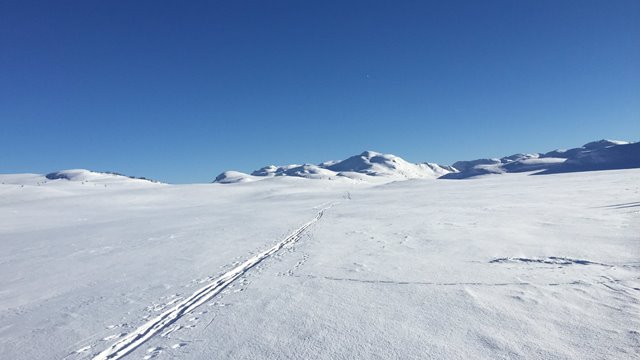 Frigjørende, ikke farlig!